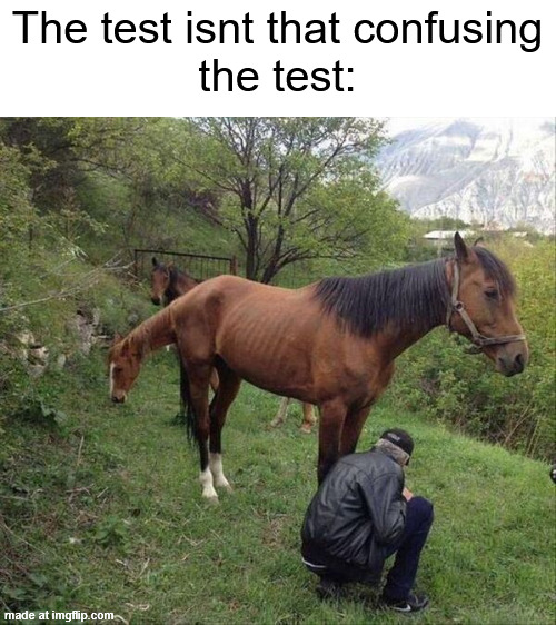 "The test isnt that confusing" - Teacher | The test isnt that confusing
the test: | image tagged in test,exams,the test,relatable memes,school | made w/ Imgflip meme maker