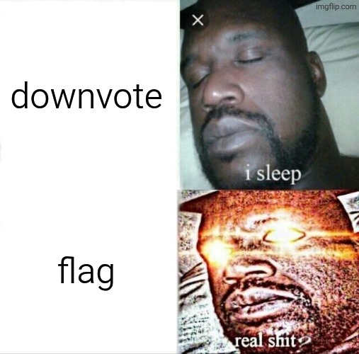 Sleeping Shaq Meme | downvote flag | image tagged in memes,sleeping shaq | made w/ Imgflip meme maker