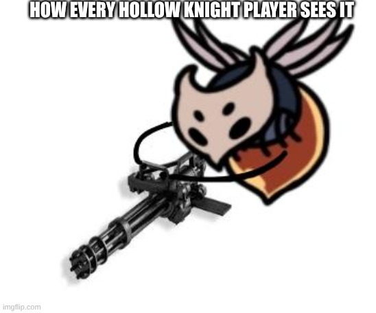 HOW EVERY HOLLOW KNIGHT PLAYER SEES IT | made w/ Imgflip meme maker