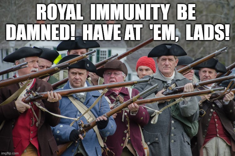 When Men Were Men | ROYAL  IMMUNITY  BE  DAMNED!  HAVE AT  'EM,  LADS! | image tagged in america | made w/ Imgflip meme maker