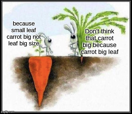 Don't think that carrot big leaf | because small leaf carrot big not leaf big size; Don't think that carrot big because carrot big leaf | image tagged in two rabbits | made w/ Imgflip meme maker