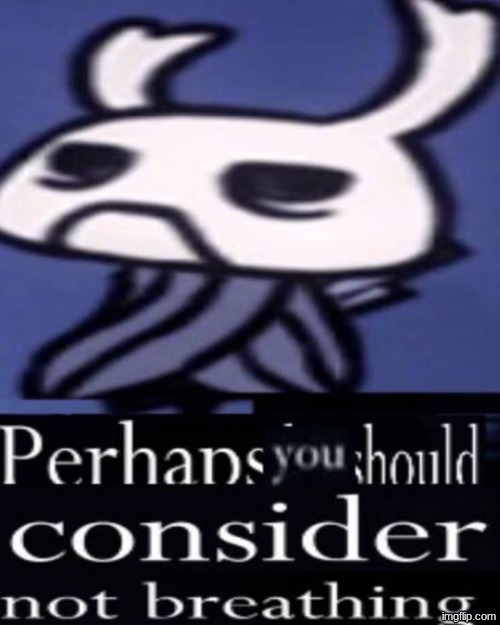 Hollow Knight "Not breathing" | image tagged in hollow knight not breathing | made w/ Imgflip meme maker