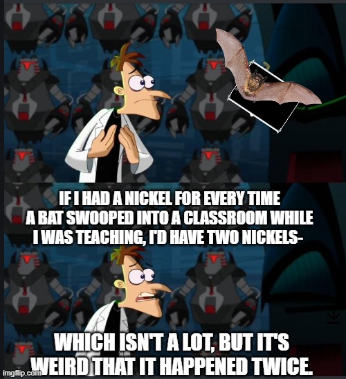 Bats, Bats everywhere. | IF I HAD A NICKEL FOR EVERY TIME A BAT SWOOPED INTO A CLASSROOM WHILE I WAS TEACHING, I'D HAVE TWO NICKELS-; WHICH ISN'T A LOT, BUT IT'S WEIRD THAT IT HAPPENED TWICE. | image tagged in 2 nickels | made w/ Imgflip meme maker