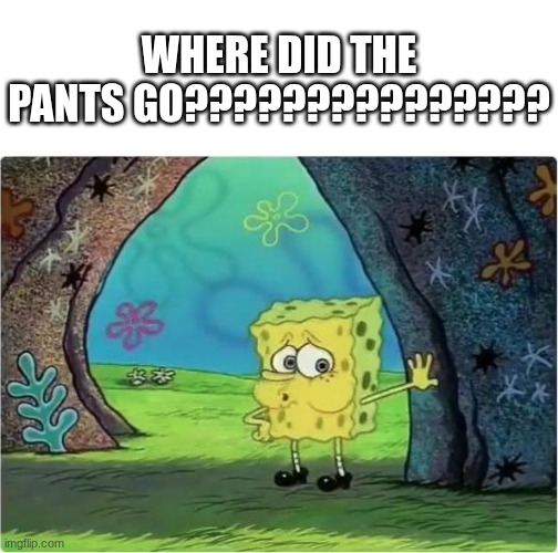 Tired Spongebob | WHERE DID THE PANTS GO??????????????? | image tagged in tired spongebob | made w/ Imgflip meme maker