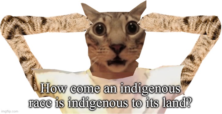 How come an indigenous race is indigenous to its land? | image tagged in cat shocked | made w/ Imgflip meme maker