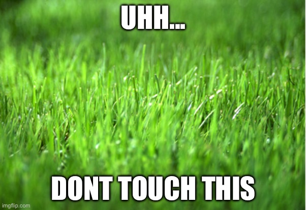 grass is greener | UHH... DONT TOUCH THIS | image tagged in grass is greener | made w/ Imgflip meme maker