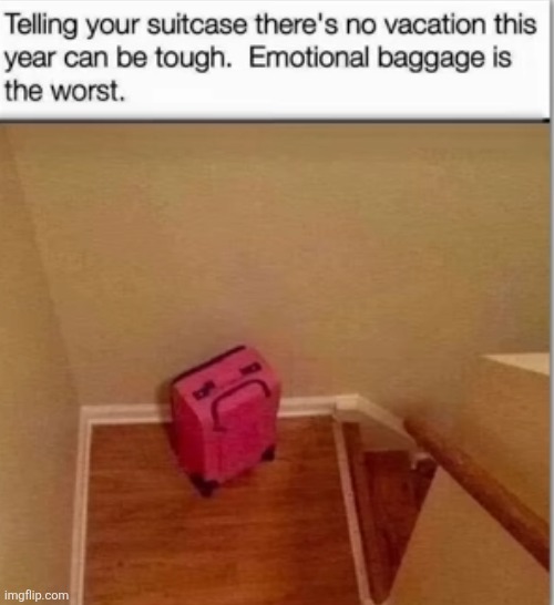 image tagged in memes,suitcase,sad,travel,vacation,dissapointed | made w/ Imgflip meme maker