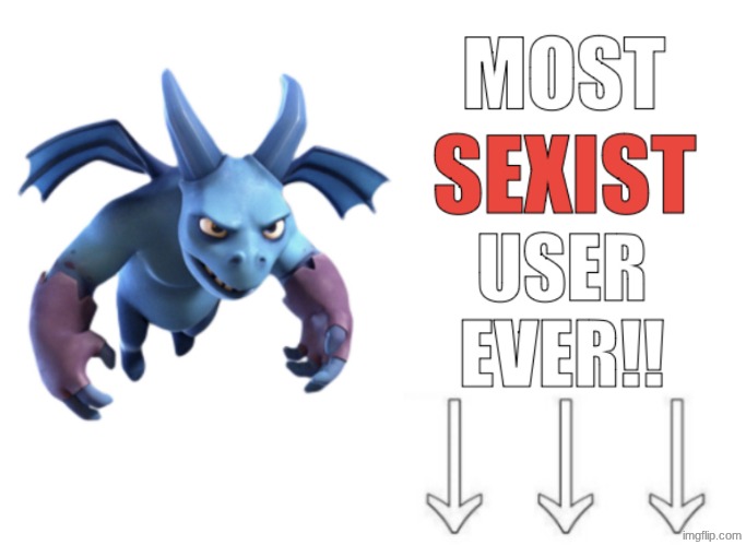 most sexist user ever!! | image tagged in most sexist user ever | made w/ Imgflip meme maker