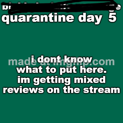 day 5 | 5; i dont know what to put here. im getting mixed reviews on the stream | image tagged in quarantine day _ | made w/ Imgflip meme maker