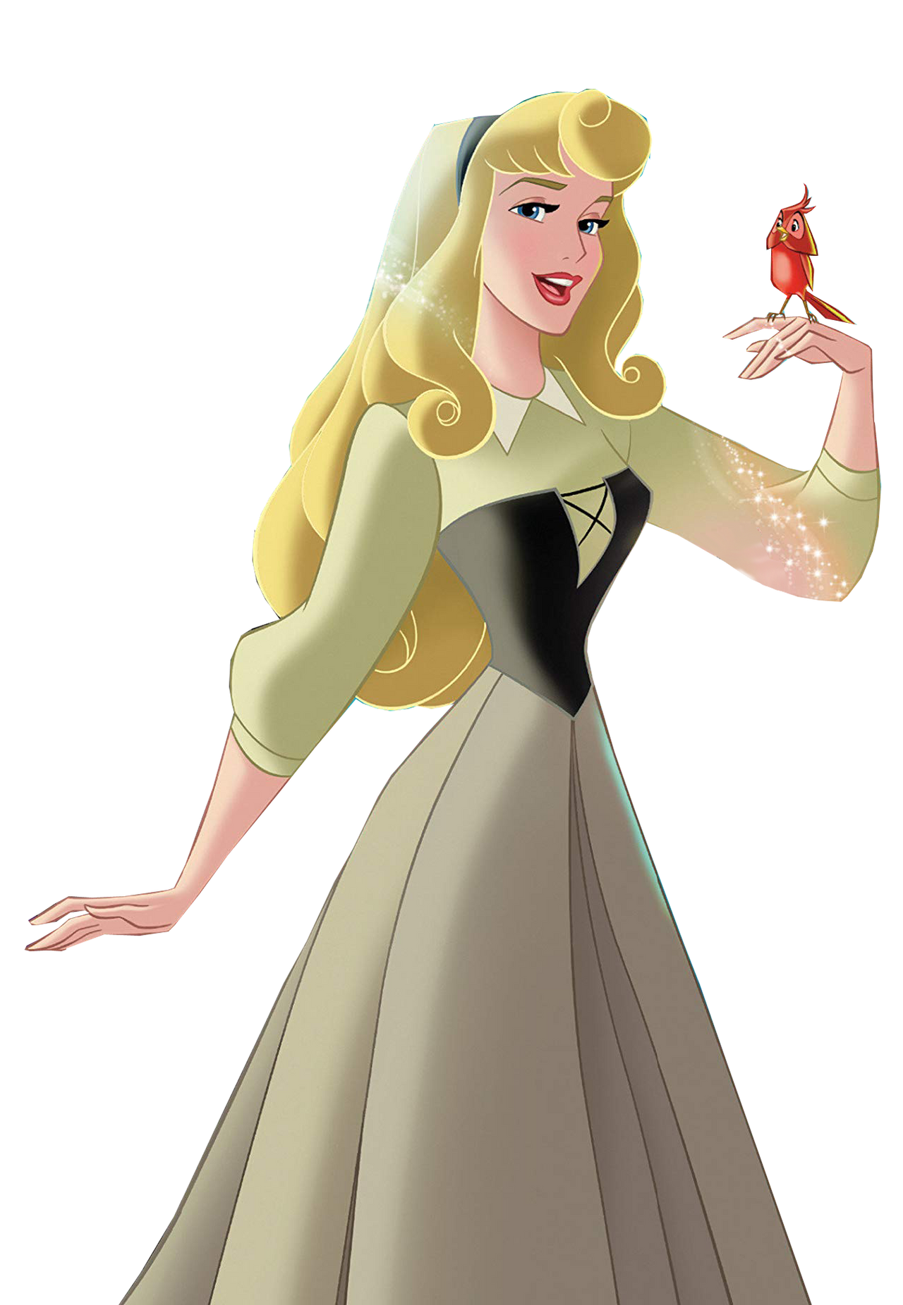 PNG Aurora Blank Meme Template