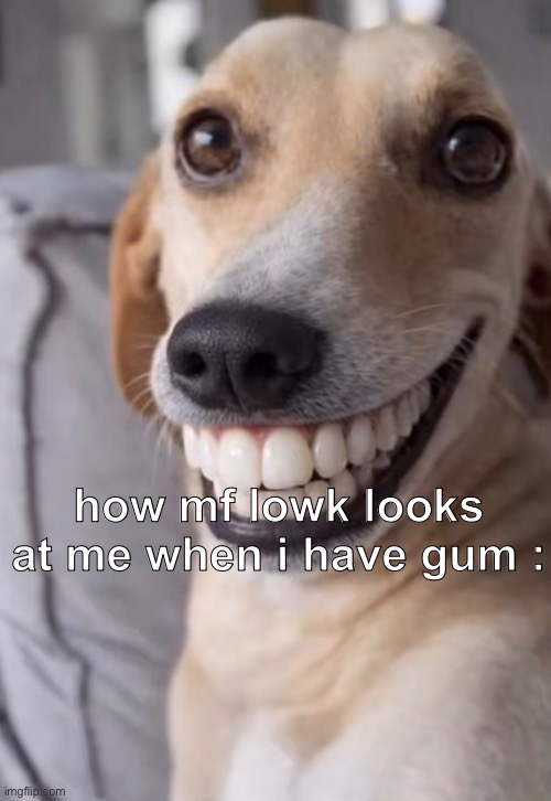 how mf lowk looks at me when i have gum : | made w/ Imgflip meme maker