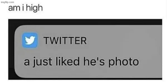 am i high | image tagged in what | made w/ Imgflip meme maker