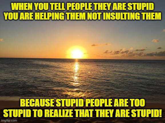 Motivationz | WHEN YOU TELL PEOPLE THEY ARE STUPID YOU ARE HELPING THEM NOT INSULTING THEM BECAUSE STUPID PEOPLE ARE TOO STUPID TO REALIZE THAT THEY ARE S | image tagged in motivationz | made w/ Imgflip meme maker