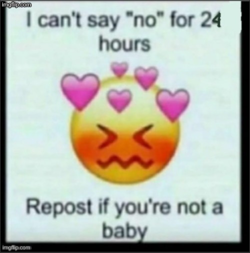 The 24 hours will only start the second this image gets accepted | image tagged in cant say no | made w/ Imgflip meme maker