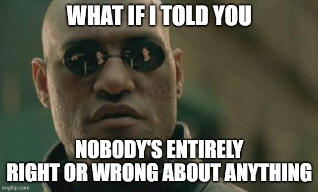 Matrix Morpheus Meme | WHAT IF I TOLD YOU; NOBODY'S ENTIRELY RIGHT OR WRONG ABOUT ANYTHING | image tagged in memes,matrix morpheus | made w/ Imgflip meme maker