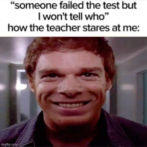 Kinda obvious | image tagged in memes,funny,cats,dogs | made w/ Imgflip meme maker