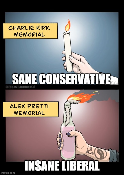 Hypocrites Every One | SANE CONSERVATIVE; INSANE LIBERAL | image tagged in hypocrites every one | made w/ Imgflip meme maker