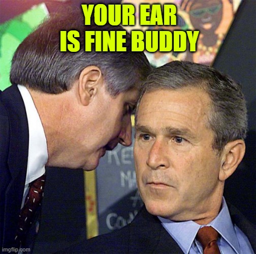 George Bush Whisper | YOUR EAR IS FINE BUDDY | image tagged in george bush whisper | made w/ Imgflip meme maker