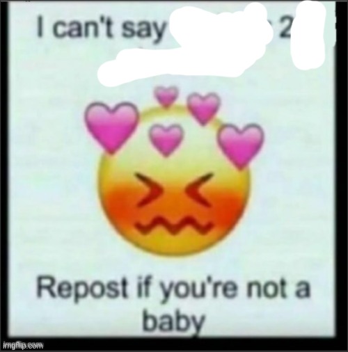 cant say no | image tagged in cant say no | made w/ Imgflip meme maker