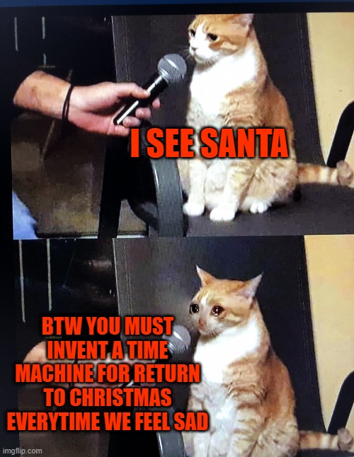 Cat interview crying | I SEE SANTA; BTW YOU MUST INVENT A TIME MACHINE FOR RETURN TO CHRISTMAS EVERYTIME WE FEEL SAD | image tagged in cat interview crying | made w/ Imgflip meme maker