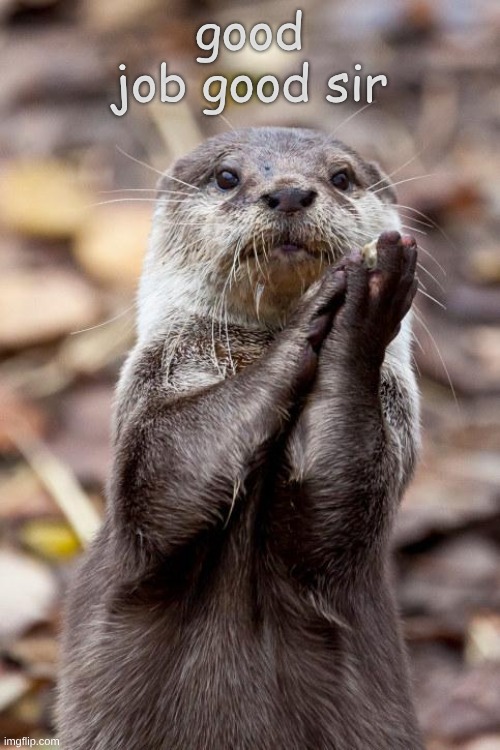 Slow-Clap Otter | good job good sir | image tagged in slow-clap otter | made w/ Imgflip meme maker