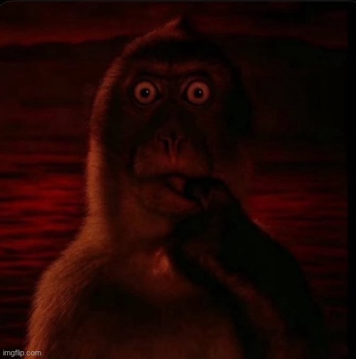Evil Thinking Monkey | image tagged in evil thinking monkey | made w/ Imgflip meme maker