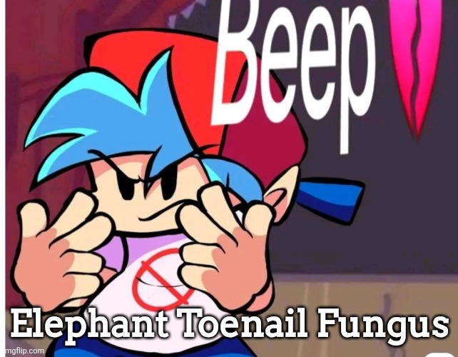 Beep | Elephant Toenail Fungus | image tagged in beep | made w/ Imgflip meme maker