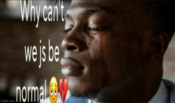 why cant we js be normal | image tagged in why cant we js be normal | made w/ Imgflip meme maker