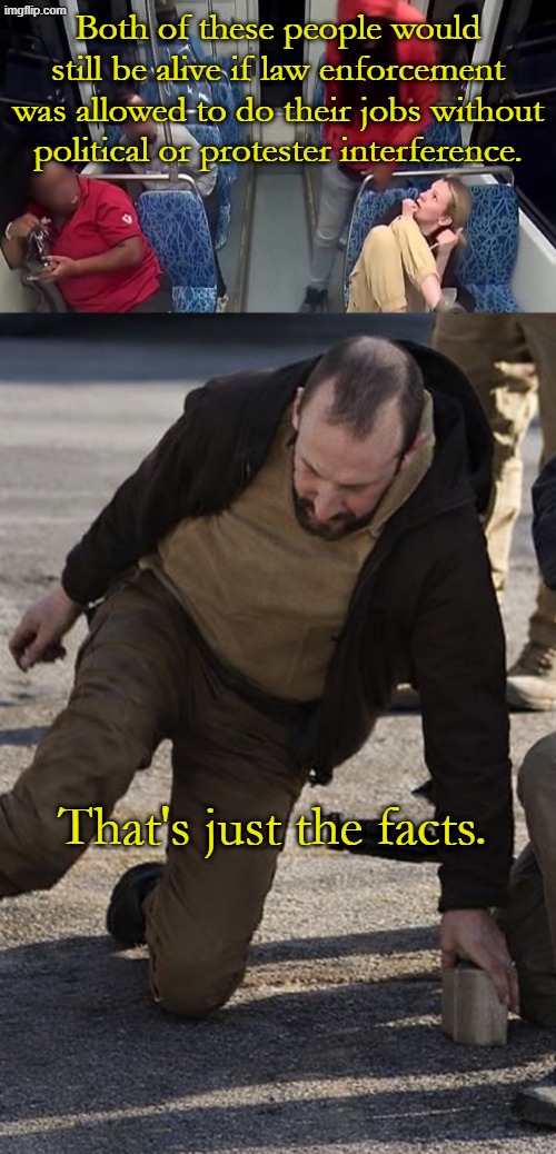 And if you don't like the law, we have a peaceful and orderly way to change it. | Both of these people would still be alive if law enforcement was allowed to do their jobs without political or protester interference. That's just the facts. | image tagged in bus murder,pretti | made w/ Imgflip meme maker