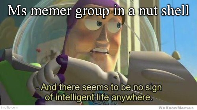 Buzz lightyear no intelligent life | Ms memer group in a nut shell | image tagged in buzz lightyear no intelligent life | made w/ Imgflip meme maker