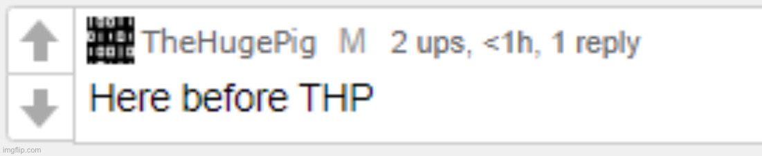 here before thp | image tagged in here before thp | made w/ Imgflip meme maker