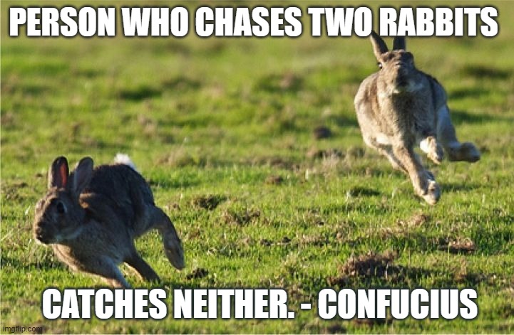 PERSON WHO CHASES TWO RABBITS; CATCHES NEITHER. - CONFUCIUS | image tagged in famous quotes | made w/ Imgflip meme maker