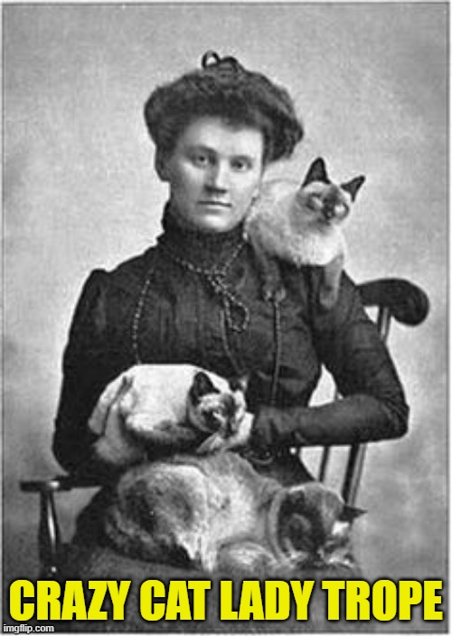 Vintage Cat Lady | CRAZY CAT LADY TROPE | image tagged in vintage cat lady | made w/ Imgflip meme maker