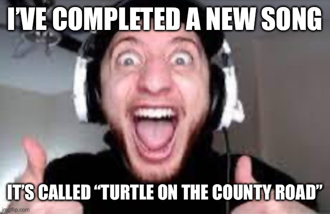 Wubbzy thumbs up | I’VE COMPLETED A NEW SONG; IT’S CALLED “TURTLE ON THE COUNTY ROAD” | image tagged in wubbzy thumbs up | made w/ Imgflip meme maker