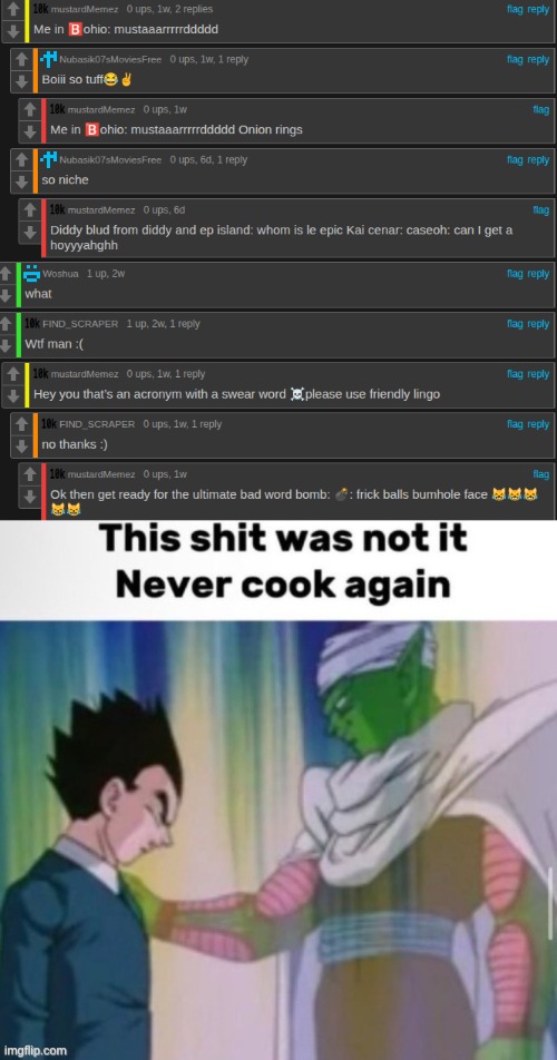 image tagged in this shit was not it never cook again | made w/ Imgflip meme maker