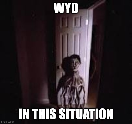 cooked | WYD; IN THIS SITUATION | image tagged in cursed | made w/ Imgflip meme maker