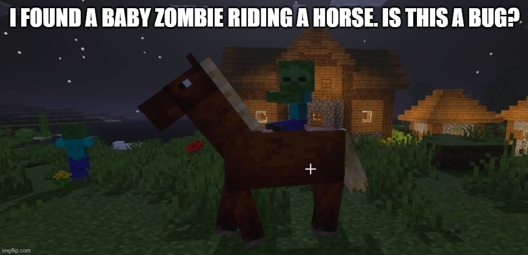 Baby Zombie Riding Horse | I FOUND A BABY ZOMBIE RIDING A HORSE. IS THIS A BUG? | image tagged in baby zombie riding horse | made w/ Imgflip meme maker