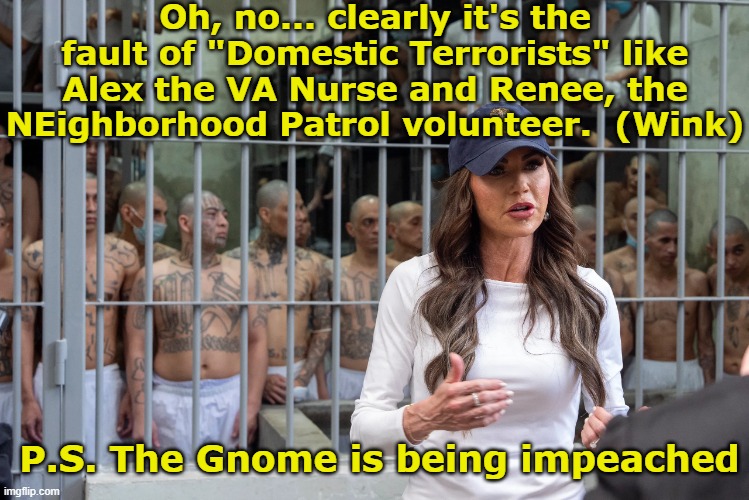 Oh, no... clearly it's the fault of "Domestic Terrorists" like Alex the VA Nurse and Renee, the NEighborhood Patrol volunteer.  (Wink) P.S.  | made w/ Imgflip meme maker