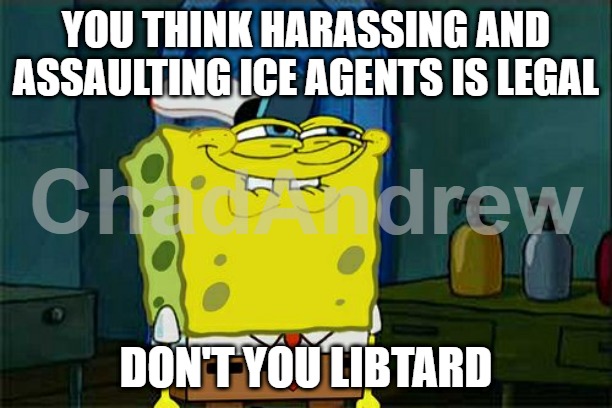 Y'all have a lot to learn. FAFO! | YOU THINK HARASSING AND ASSAULTING ICE AGENTS IS LEGAL; DON'T YOU LIBTARD | image tagged in memes,don't you squidward,libtard,democrats,ice | made w/ Imgflip meme maker
