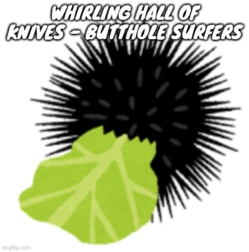 Illustration of a sea urchin eating cabbage | WHIRLING HALL OF KNIVES - BUTTHOLE SURFERS | image tagged in illustration of a sea urchin eating cabbage | made w/ Imgflip meme maker