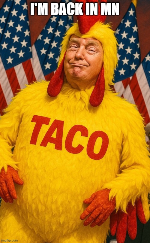 I'M BACK IN MN | made w/ Imgflip meme maker