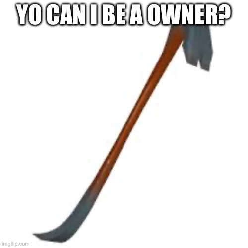 YO CAN I BE A OWNER? | made w/ Imgflip meme maker
