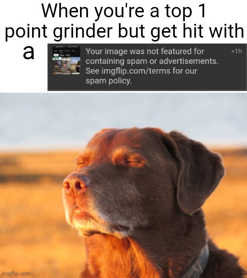Potential 80+ upvotes down the drain | When you're a top 1 point grinder but get hit with; a | image tagged in cooked dog,cooked asf,cooked,so cooked,lowkey cooked,deep fried cooked | made w/ Imgflip meme maker