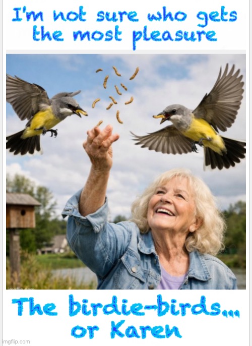 Happy happy | image tagged in memes,commune with nature,you benefit they benefit,the worms may not like it,god created circle of life,love them birds | made w/ Imgflip meme maker