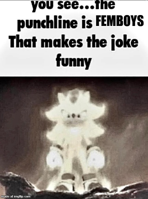 Shadow explains the joke | FEMBOYS | image tagged in shadow explains the joke | made w/ Imgflip meme maker
