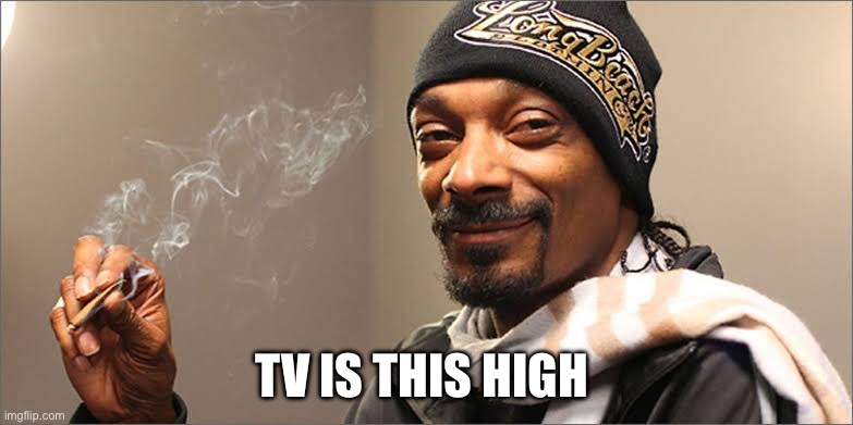 Snoop dog high | TV IS THIS HIGH | image tagged in snoop dog high | made w/ Imgflip meme maker