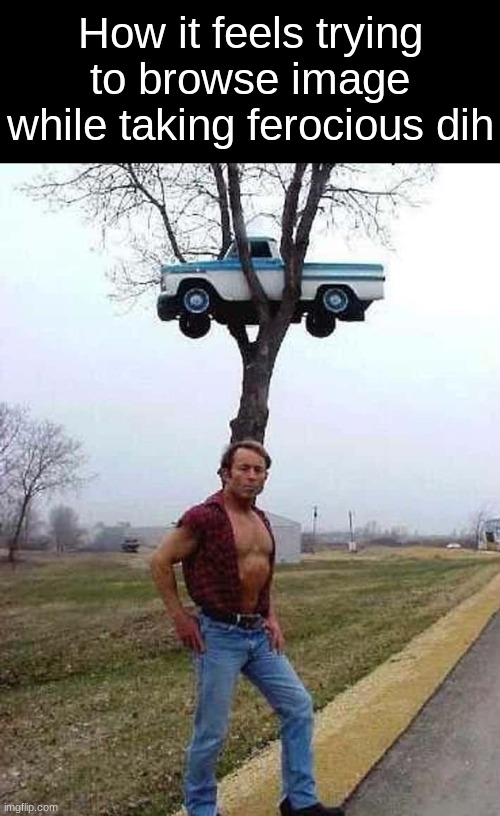 How it feels trying to browse image while taking ferocious dih | made w/ Imgflip meme maker