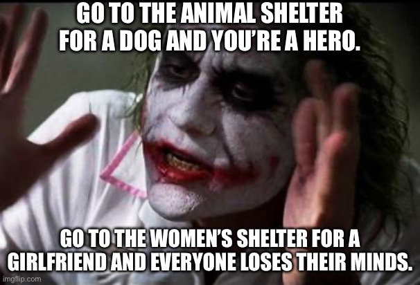 Hero or Villain | GO TO THE ANIMAL SHELTER FOR A DOG AND YOU’RE A HERO. GO TO THE WOMEN’S SHELTER FOR A GIRLFRIEND AND EVERYONE LOSES THEIR MINDS. | image tagged in im the joker,dog,animal rescue,shelter,women | made w/ Imgflip meme maker