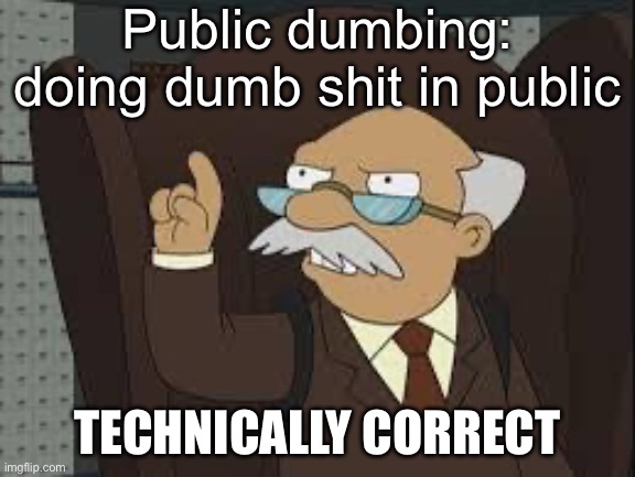 Technically Correct | Public dumbing: doing dumb shit in public TECHNICALLY CORRECT | image tagged in technically correct | made w/ Imgflip meme maker