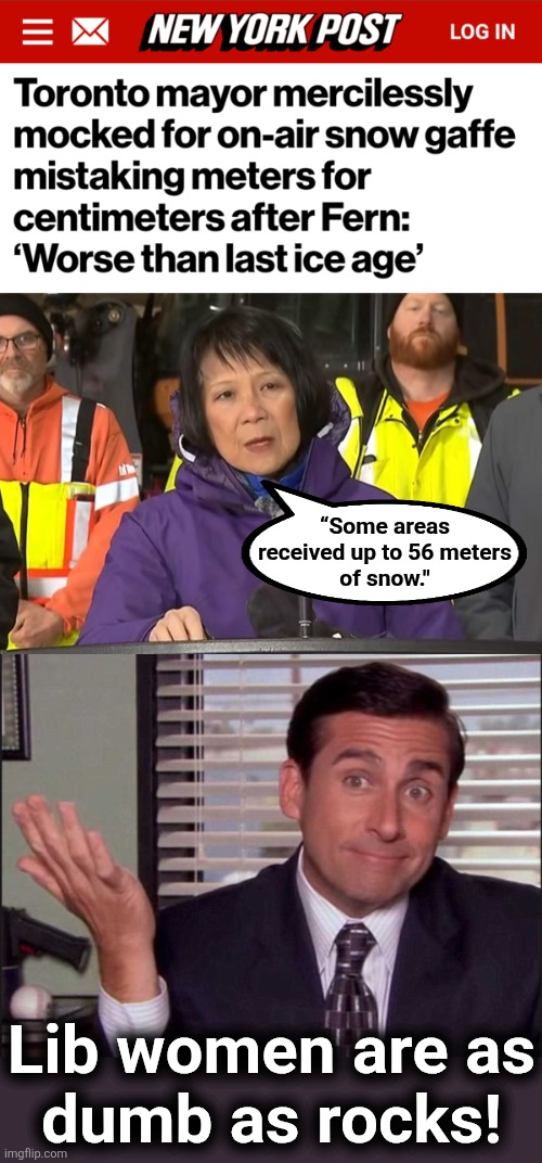 “Some areas
received up to 56 meters
of snow."; Lib women are as
dumb as rocks! | image tagged in michael scott,memes,toronto,olivia chow,leftists,idiot | made w/ Imgflip meme maker